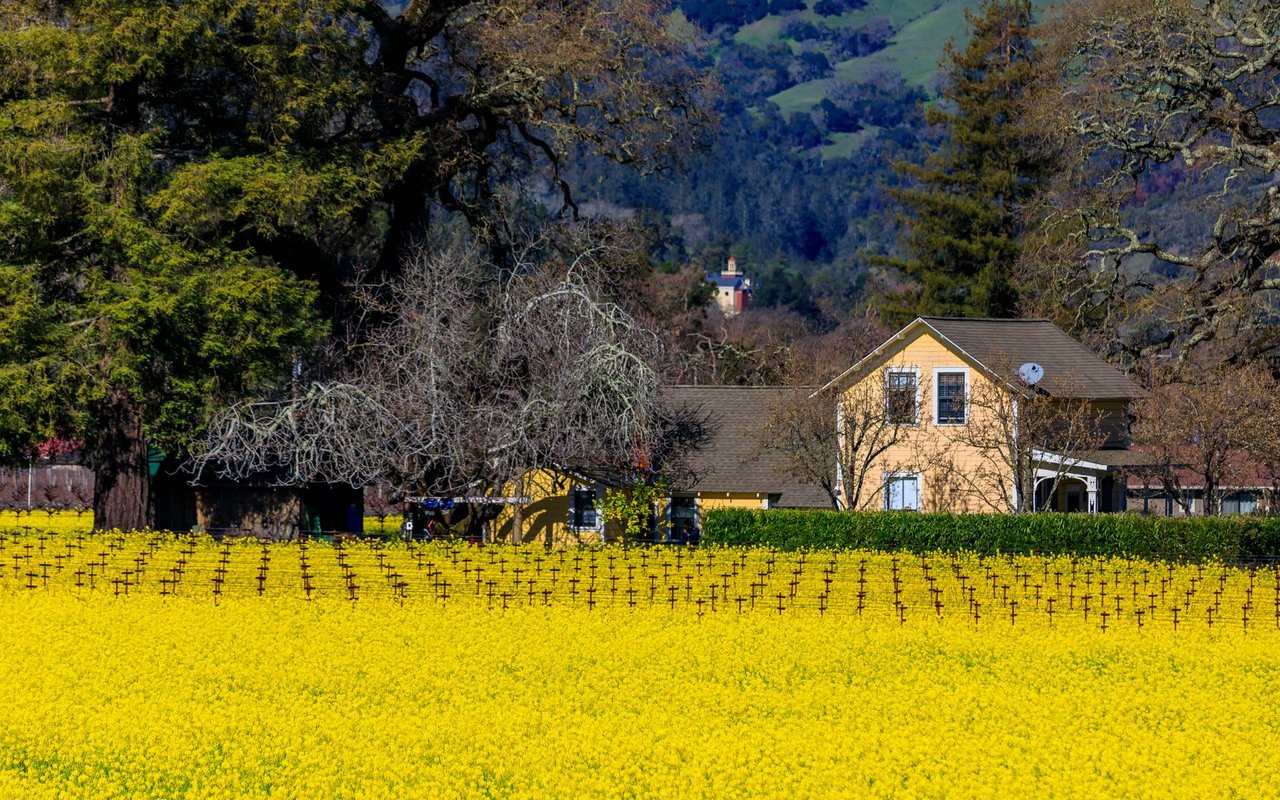 Yountville