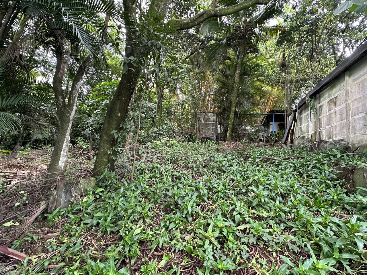 Lush Butterfly Garden Building Lot, Heredia