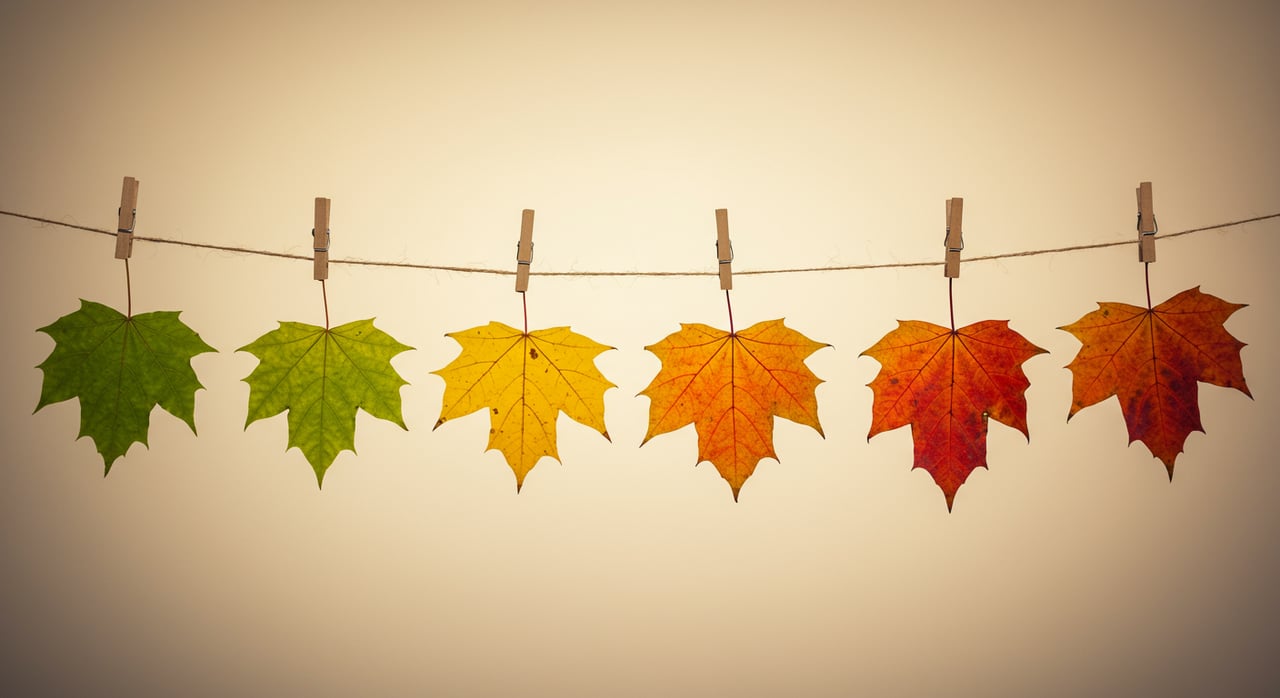 November 2022 Denver Porch Report