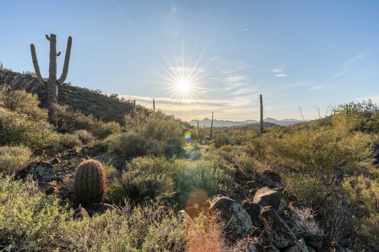 Horseshoe in Continental Mountain Estates in Cave Creek