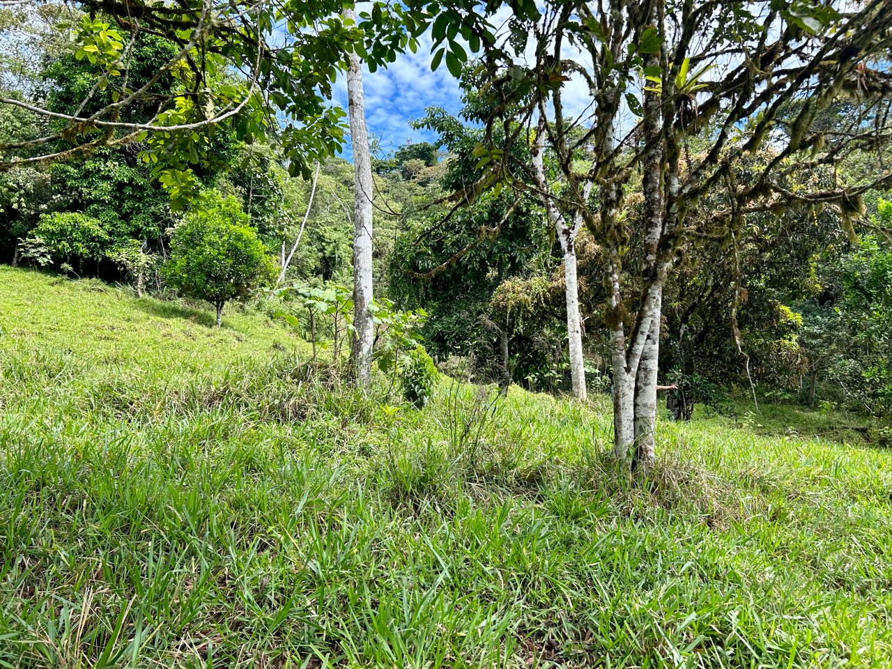 Hidden Gem: Serene Farm Retreat with Majestic Views in Costa Rica