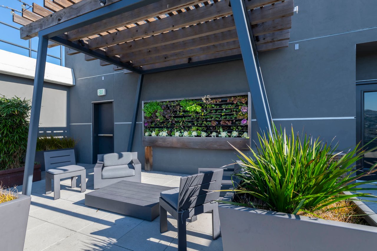 338 Potrero Ave Penthouse 3