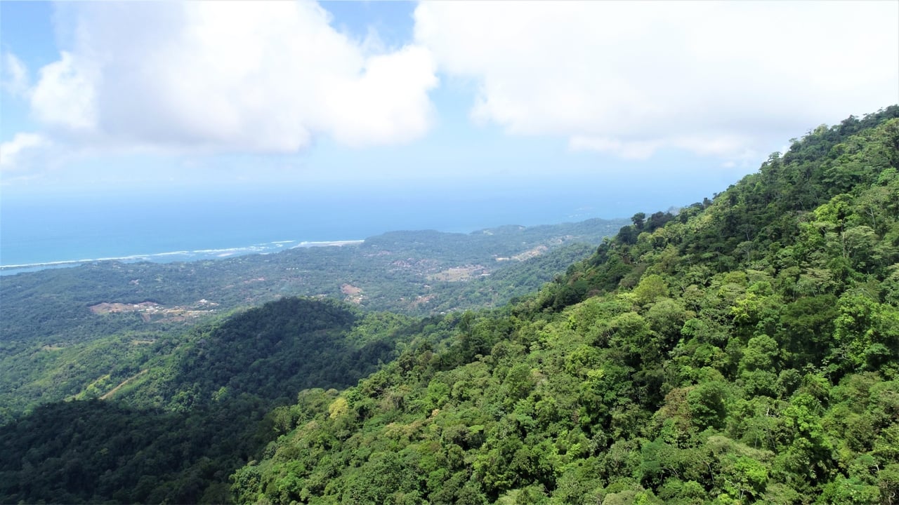 Large Development Farm, Ojochal, Puntarenas