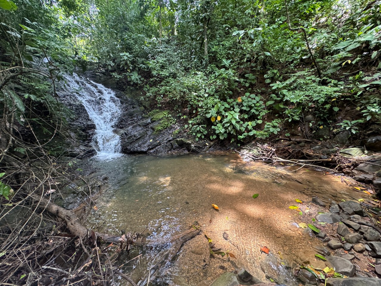 Ocean View Riverfront Acreage, Dominical, Puntarenas