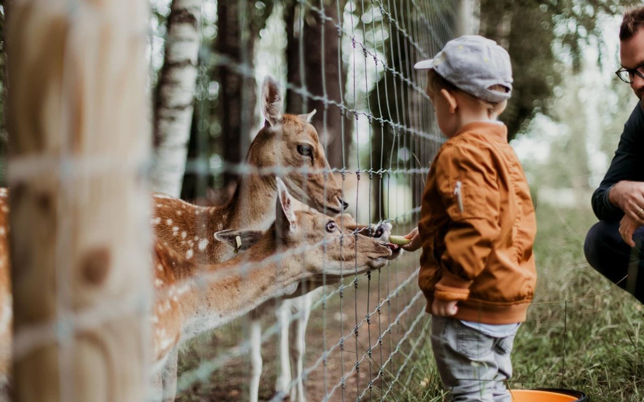 Fun Weekend Activities for the Whole Family in Pueblo and Pueblo West