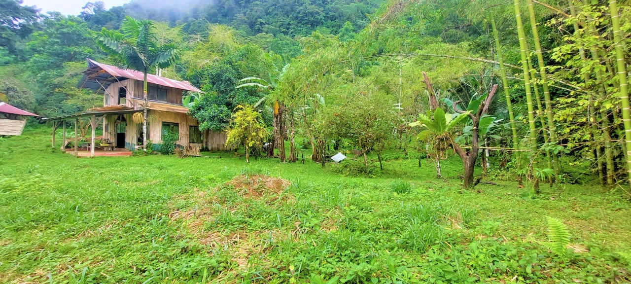 Off Grid Farm  at the top of the Uvita mountain range