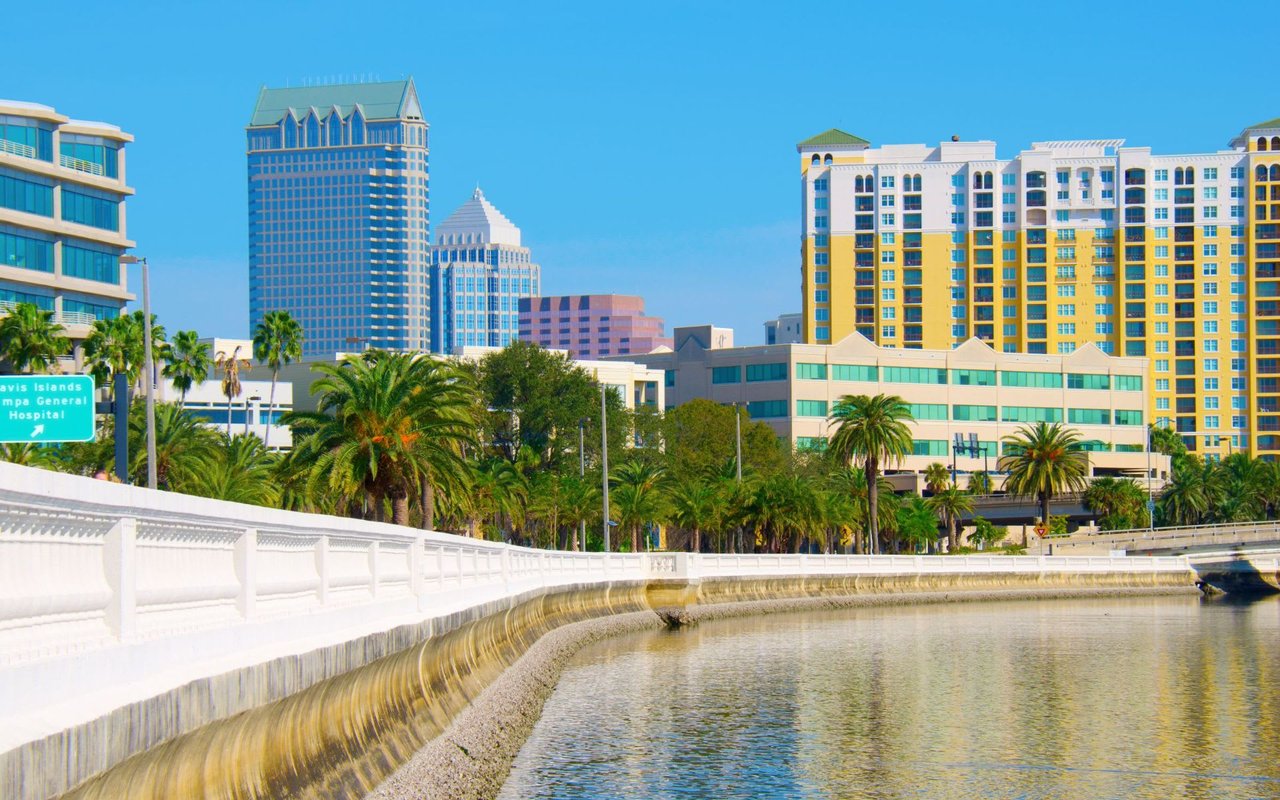 Bayshore Beautiful