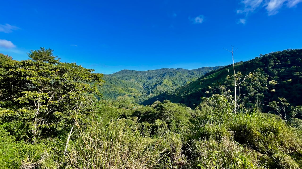 Over 123 Acres Farm in San Josecito De Morete, in Uvita Mountains