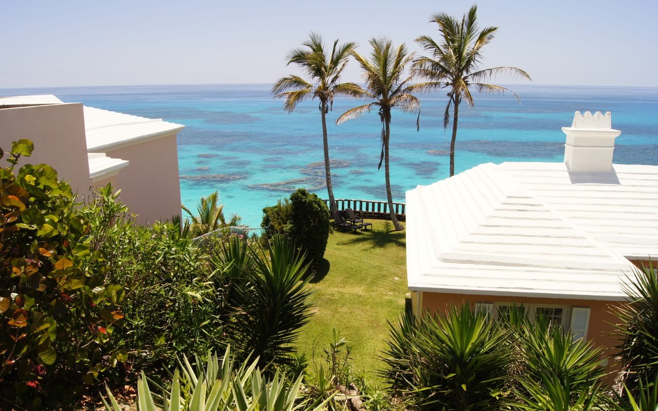 What’s Going on With Real Estates in the Bay Area Under 'Shelter in Place'?