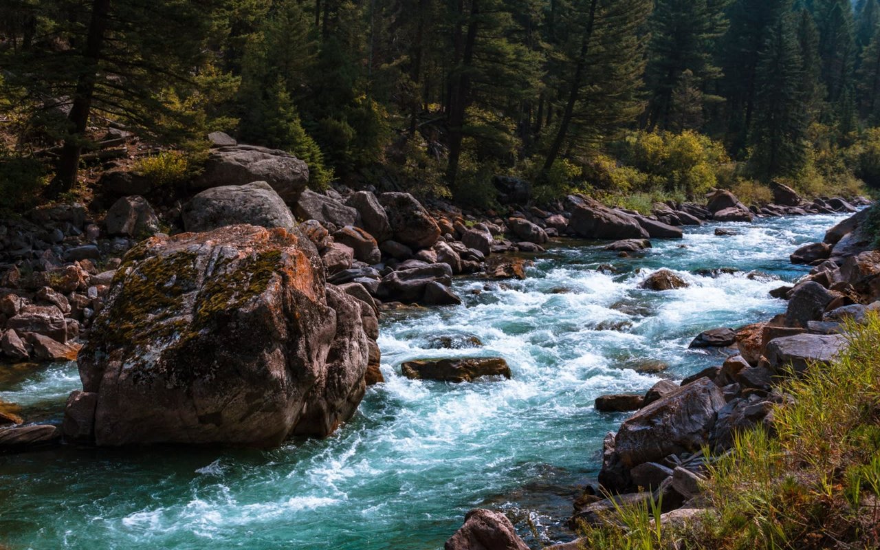 Gallatin Canyon