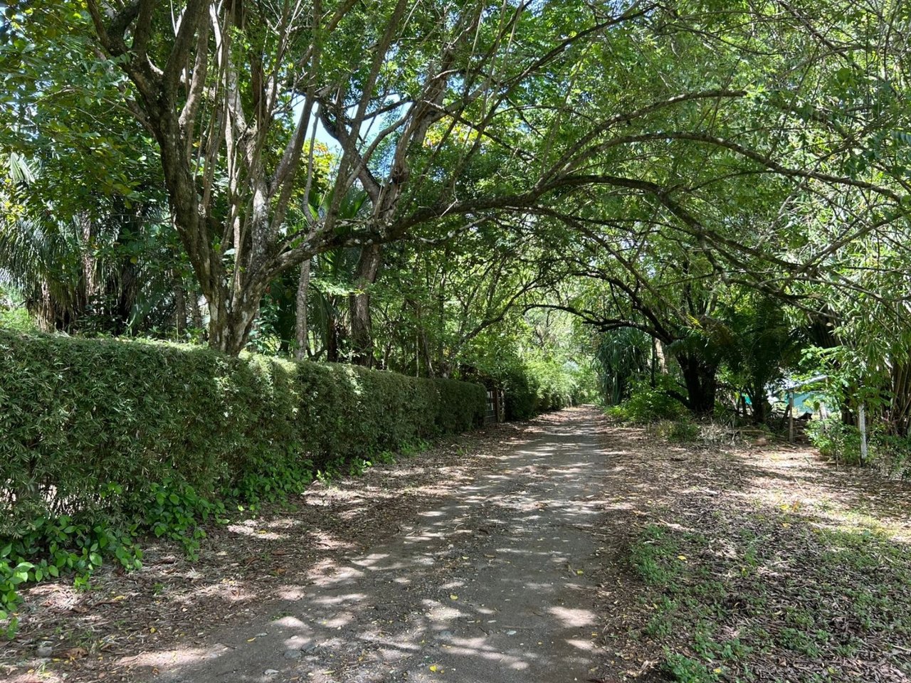 Titled Beachfront Development Land, Osa, Puntarenas