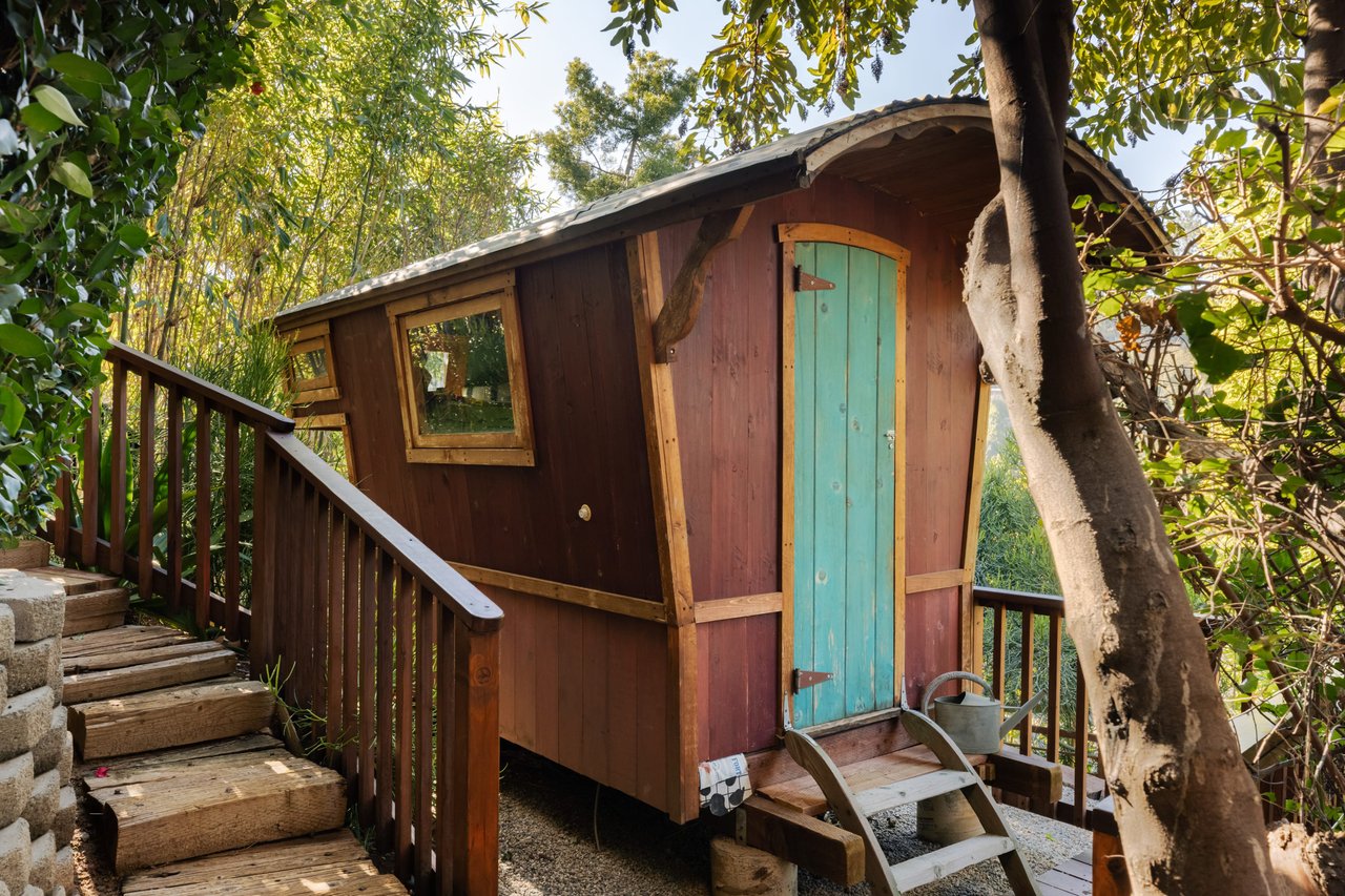 A Mid-Century Treehouse in Beachwood Canyon