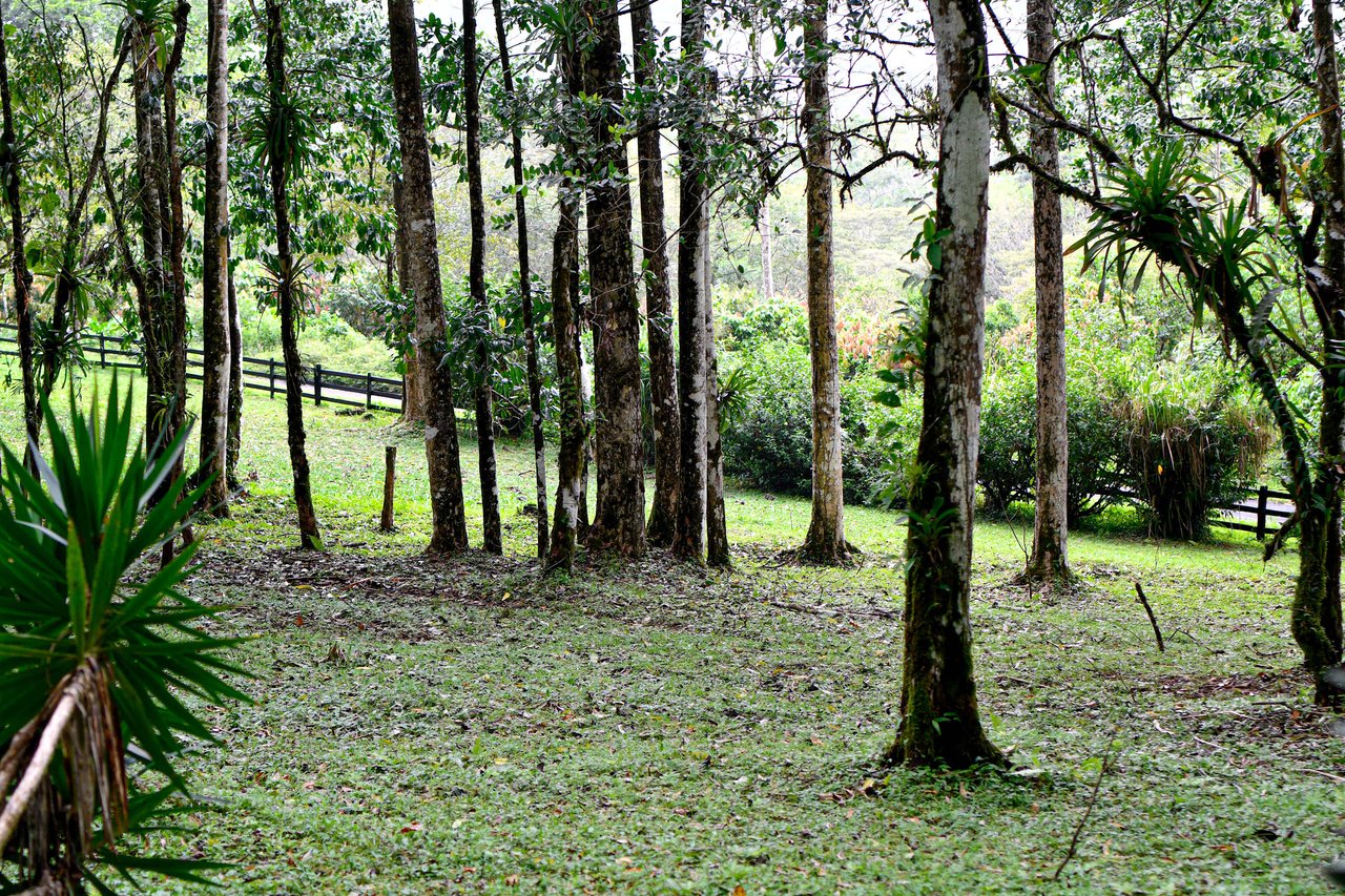 Finca Macadamia | 154-acre Rainforest Paradise with two Houses and Trails!