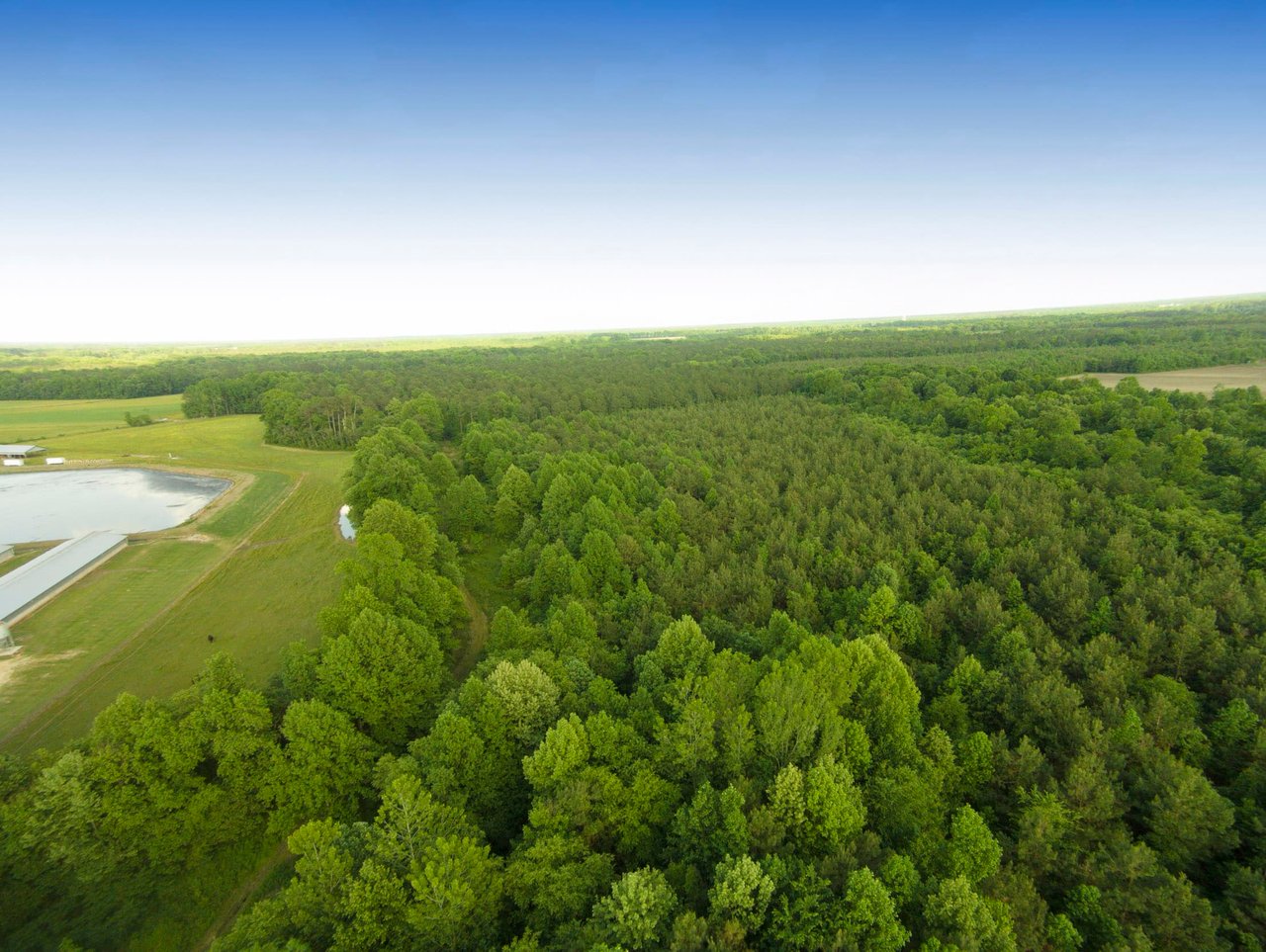 Edgecombe County, NC Land For Sale - 354 Acres