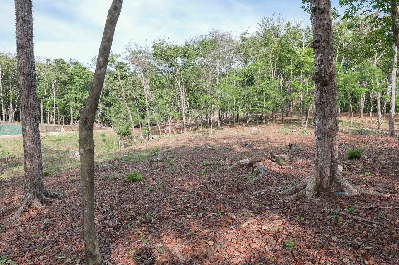 Sustainable Coastal Building Lot, Nosara, Guanacaste
