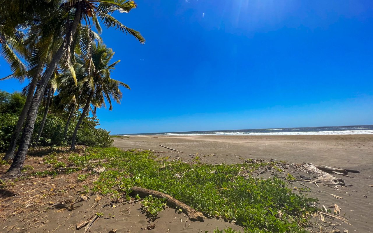 Playa Junquillal
