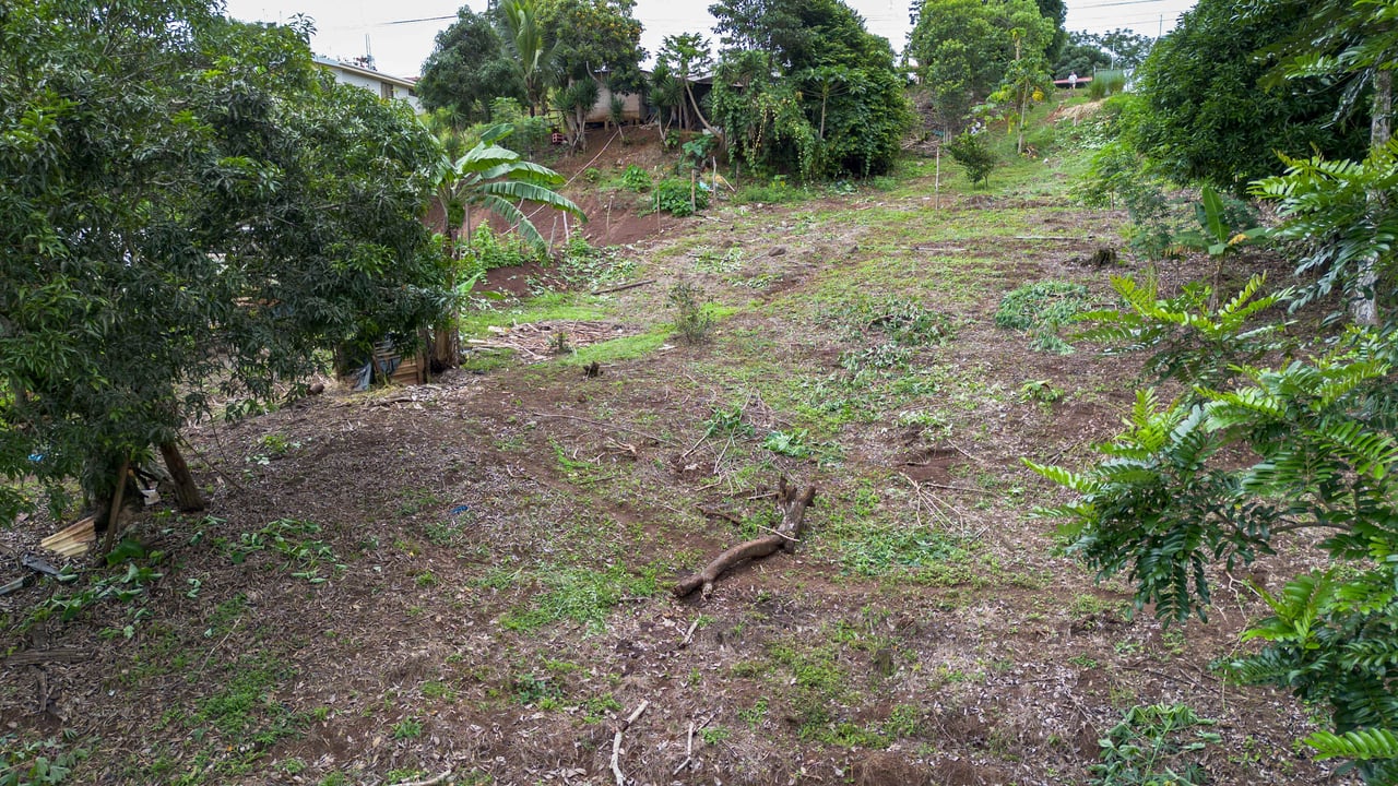  2.5 Acres of Fertile Land with Creek, Ready to Build