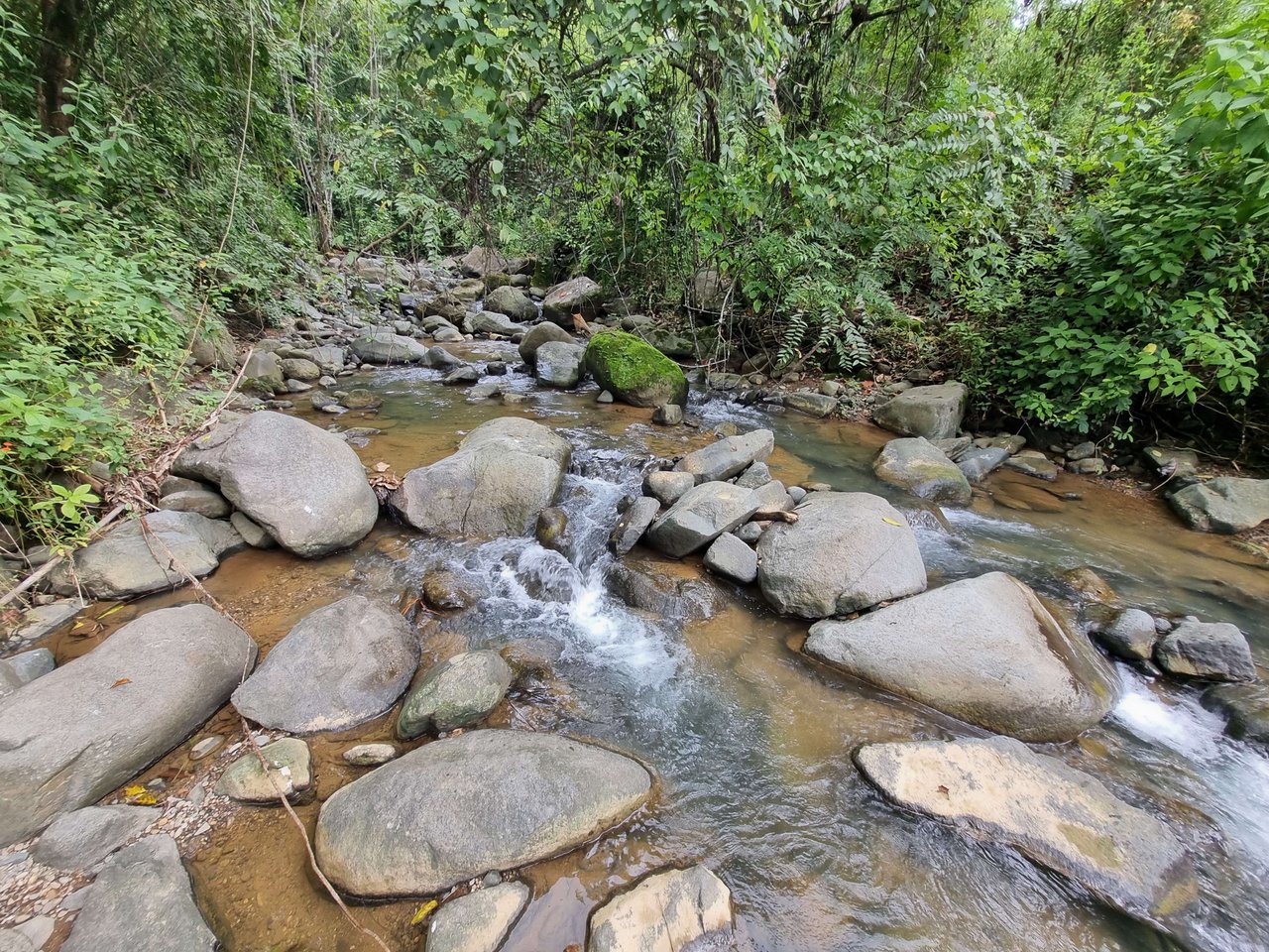 Riverfront Dream Property