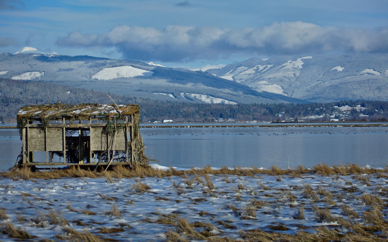 Samish Island