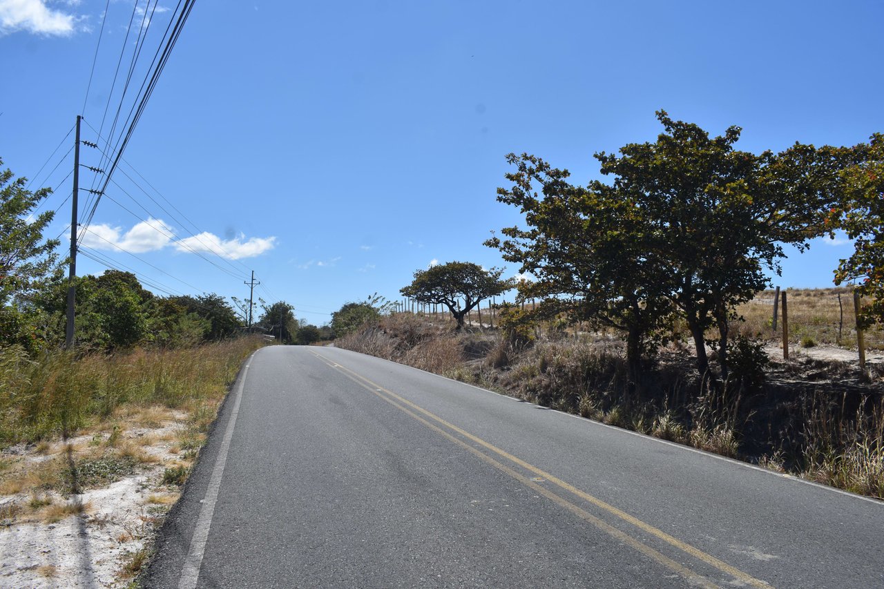 La Cresta Land | The property is located along an asphalted road with 3.9 hectares, providing ample space for all your endeavors!