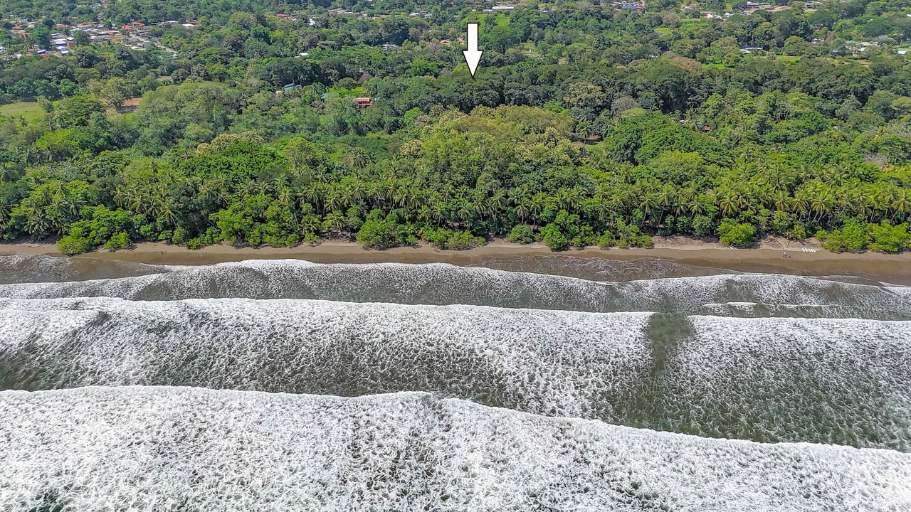 A highly-rated and high-occupancy resort with a hotel, cabins, on-site restaurant and a pool an easy 5-minute walk from PLAYA UVITA and Marino Ballena National Park!