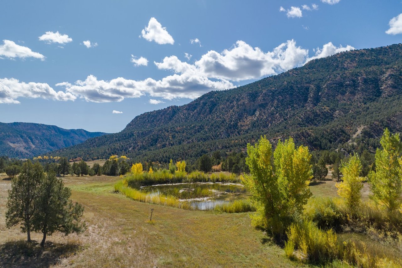 Weber Creek Ranch