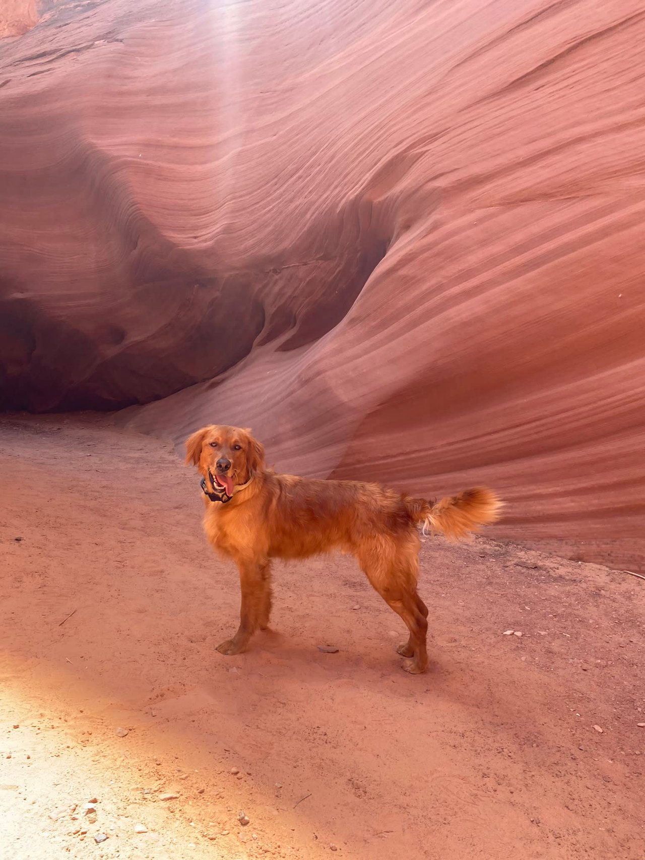 National Parks Trip with Ella and Herc