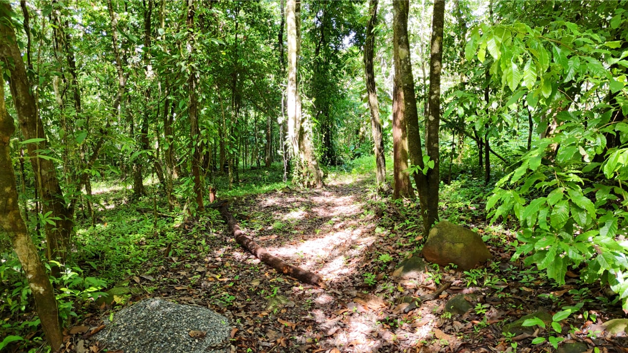 Secluded Ocean View Development Land, Ojochal, Puntarenas