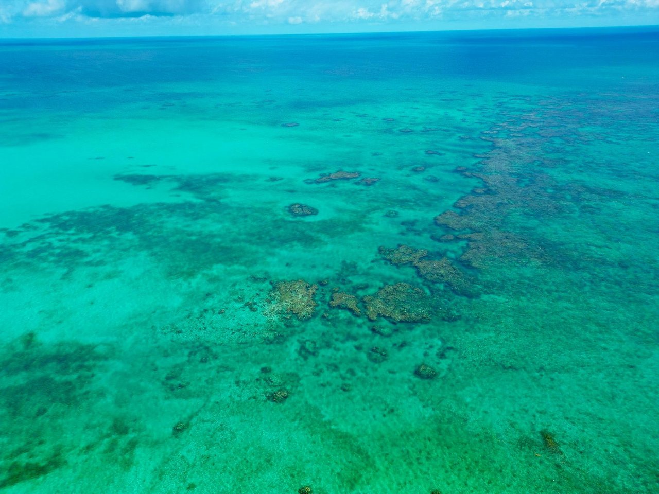 Tarpon Point-Ambergris Cay