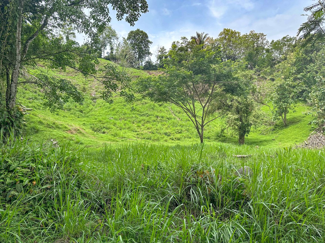 177 acre Ocean view property with multiple plantels, unspoiled mountain, jungle, river and waterfall areas