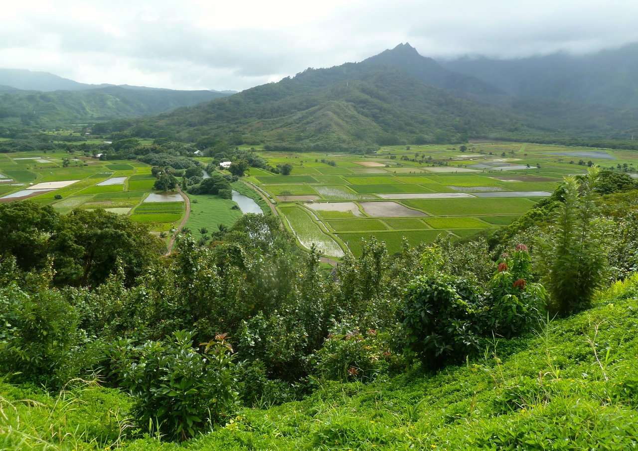 Should You Relocate to Kauaʿi? Yes. Here’s Why