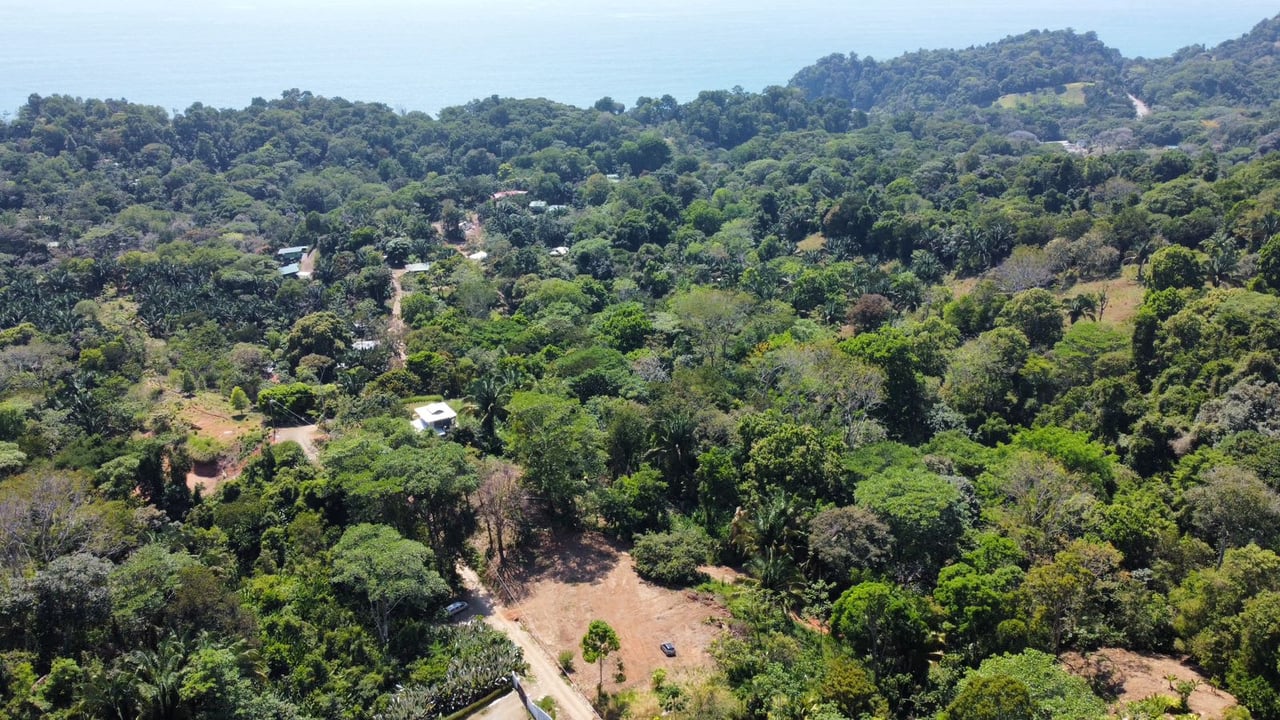 Your Dream Coastal Retreat Awaits: Prime Investment Opportunity in Playa Hermosa, Bahía Ballena