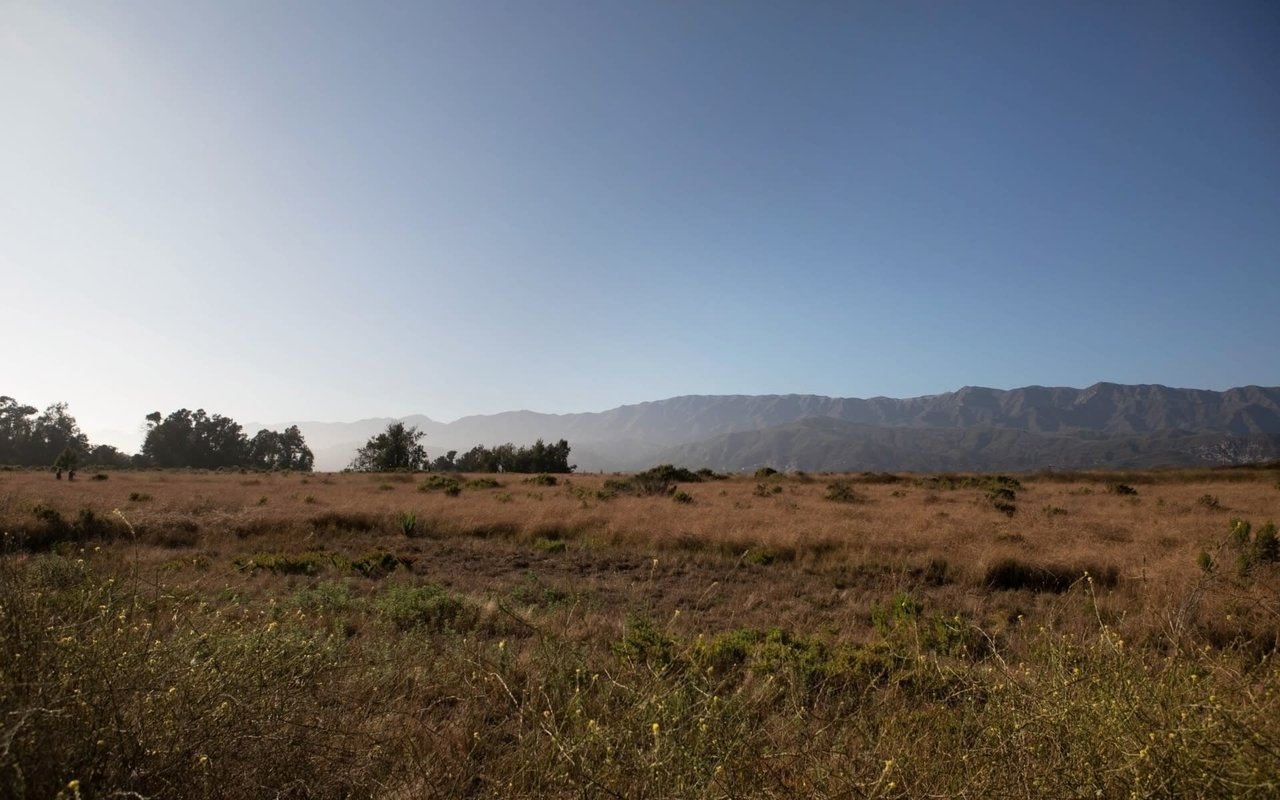 Carpinteria
