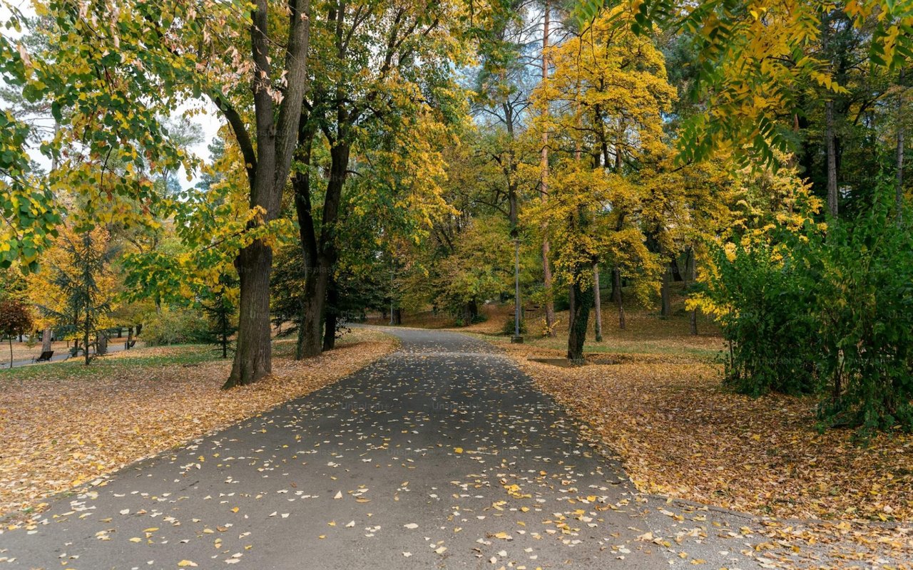 5 Neighborhood Amenities that Increase Home Value