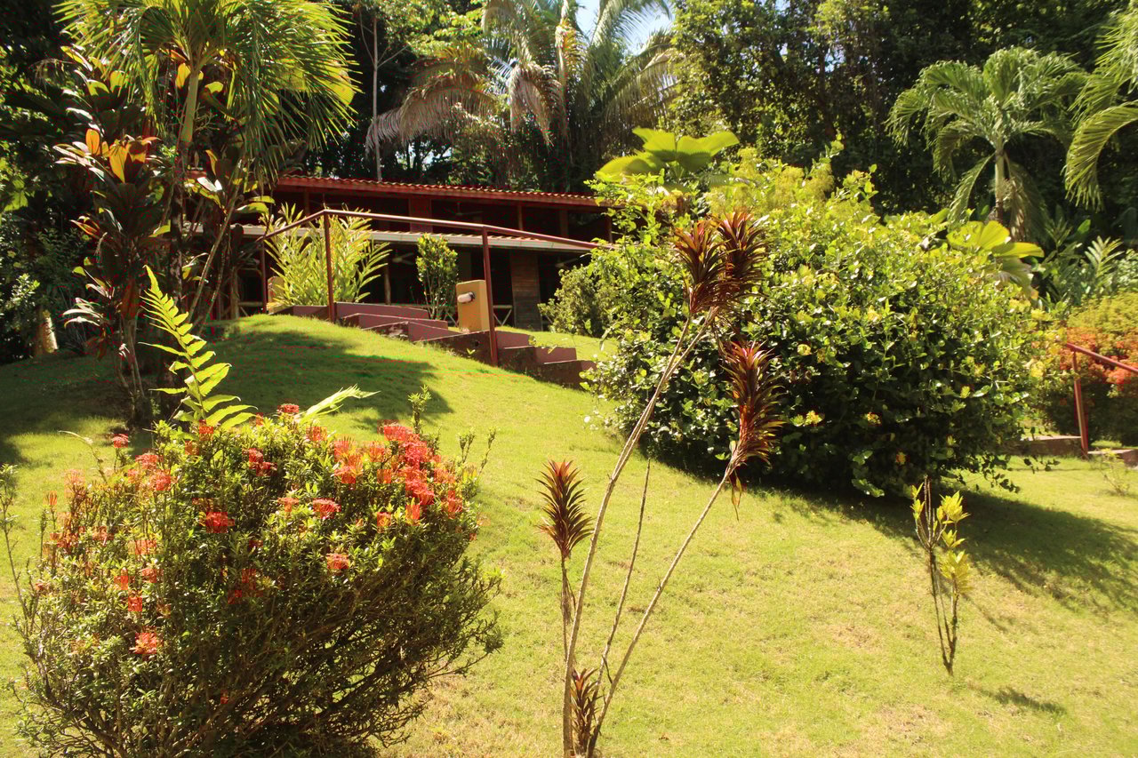 Income Producing Property with Ocean View close to Dominical