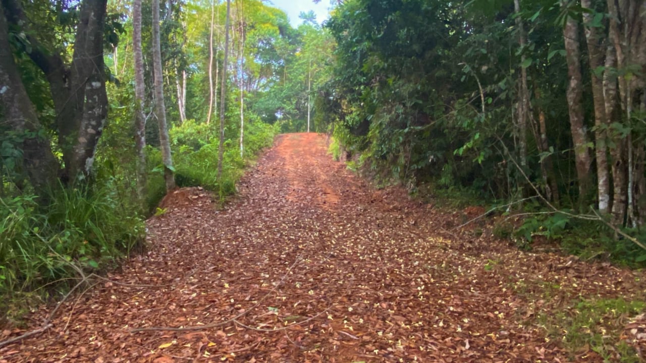 Ocean View Development Land, Ojochal, Puntarenas