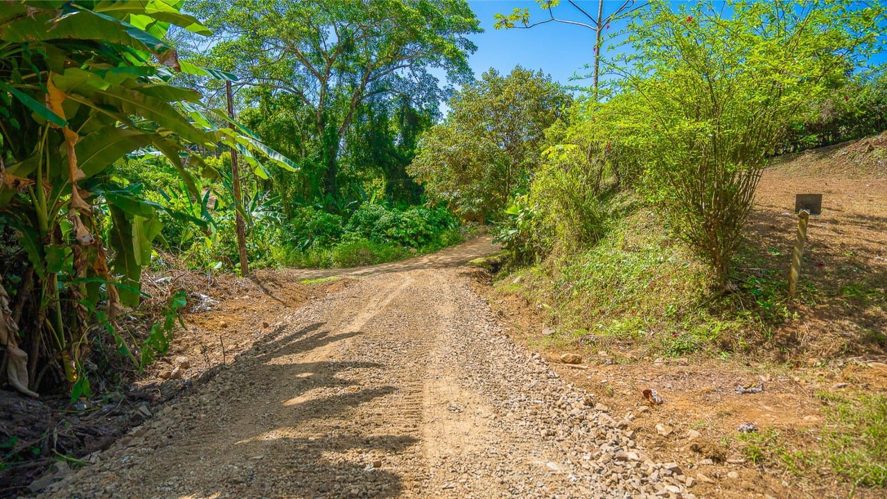 Forest View Build Ready Lot, Ojochal, Puntarenas