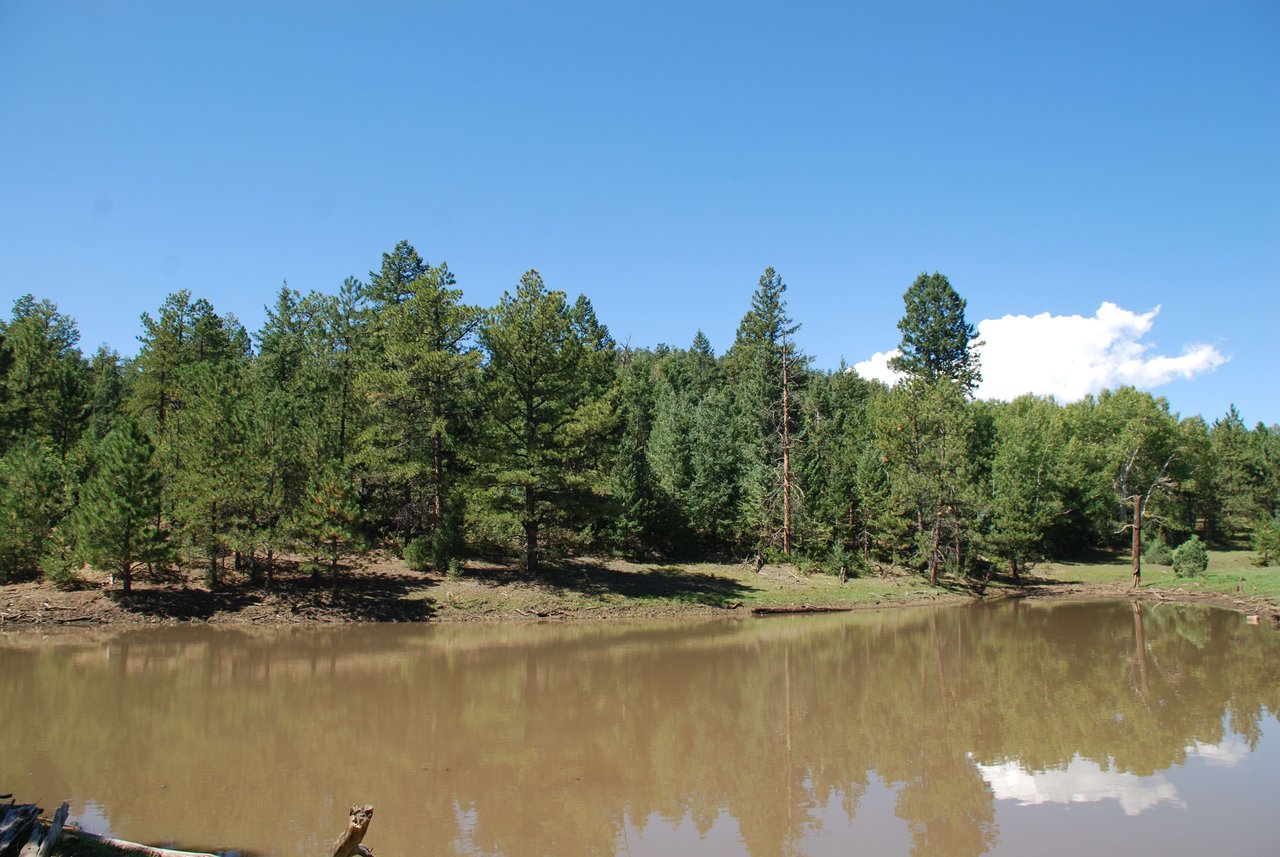 Elk Mountain Ranch