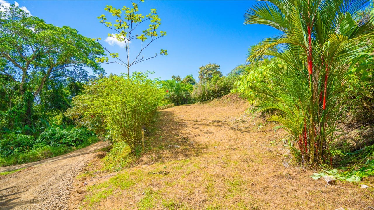 Forest View Build Ready Lot, Ojochal, Puntarenas