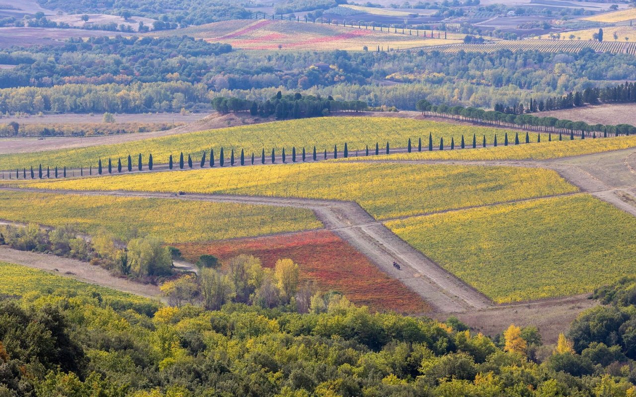 53024 Montalcino SI