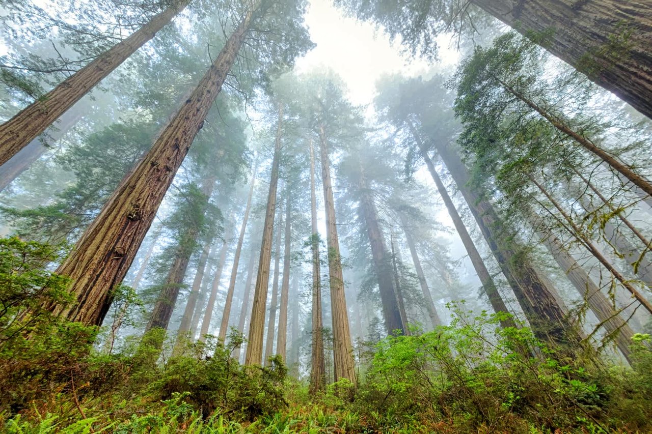 April 2023 | Issue No. 25