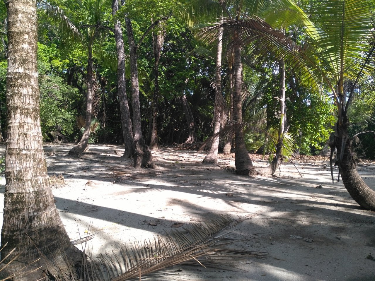 Private Secluded Beachfront Lot, Santa Teresa, Puntarenas
