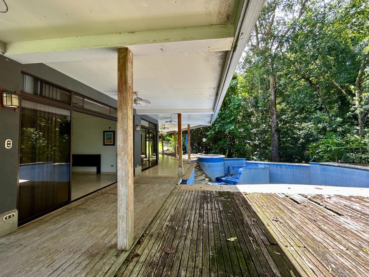 Tropical Forest Fixer Upper, Osa, Puntarenas