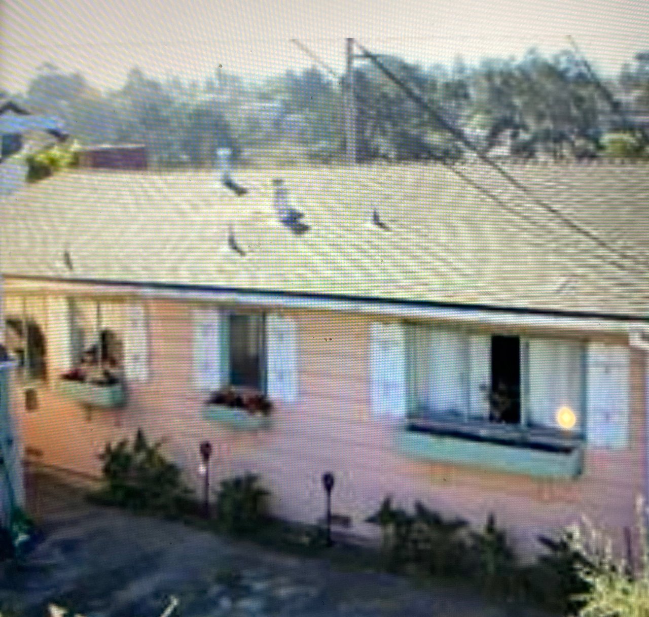 38 Work Avenue