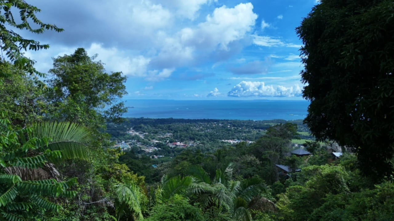 Uvita Hills! Mountain and Ocean view Opportunity