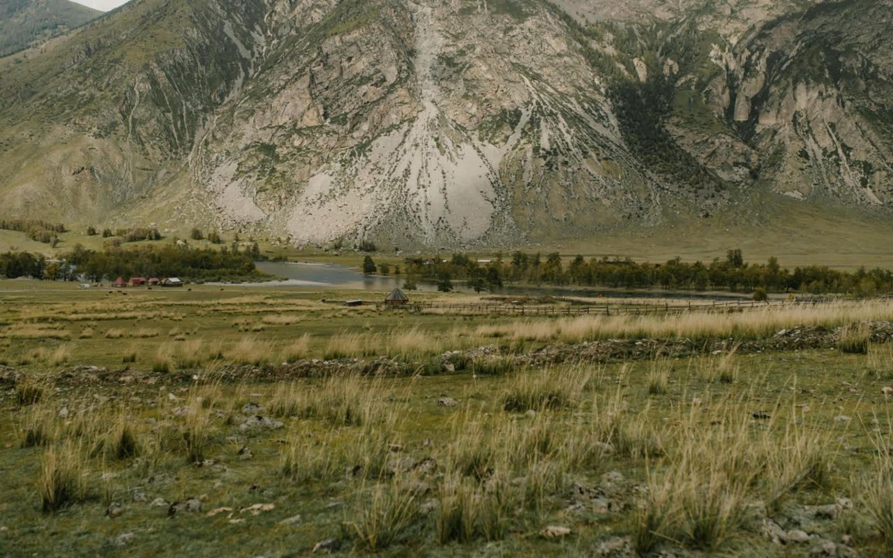 Castle Rock, CO Land Auctions: Tips for Bidding and Winning