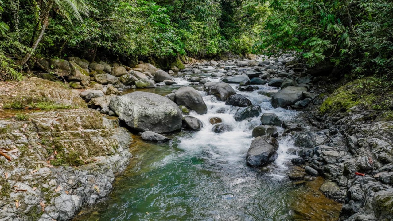 Waterfall Riverfront View Land, Uvita, Puntarenas