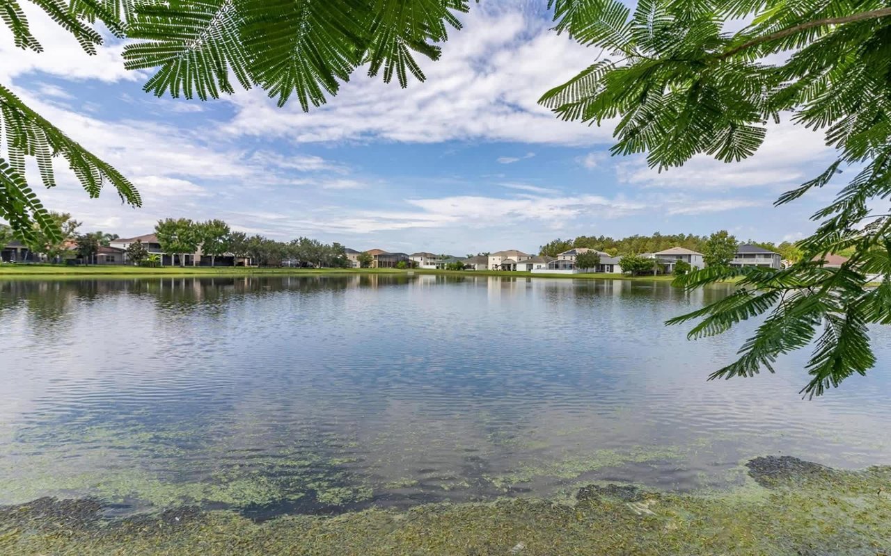 How to Find a Real Estate Agent in Orlando, FL