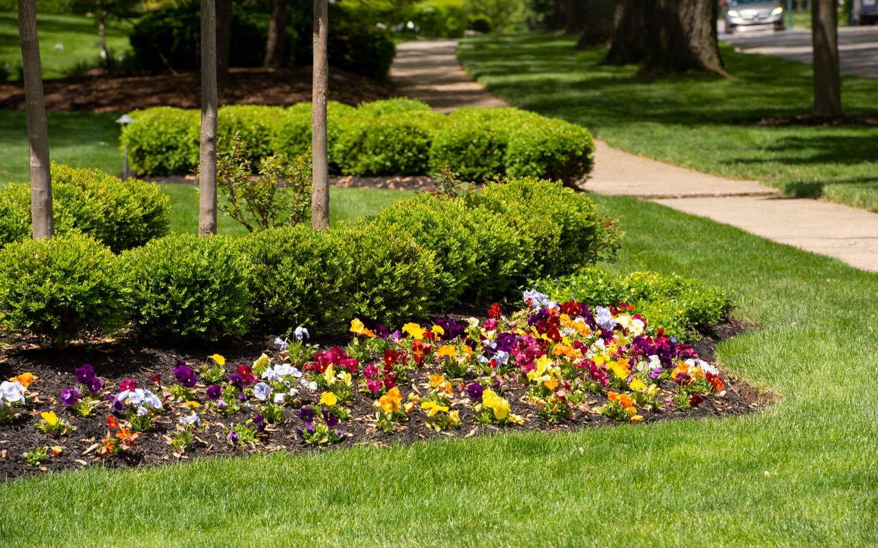 UPPER ARLINGTON