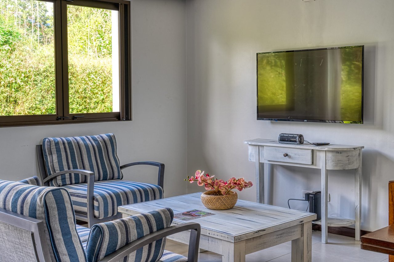 3 BEDROOM MODERN HOME WITH POOL WALKING DISTANCE TO EVERYTHING IN UVITA